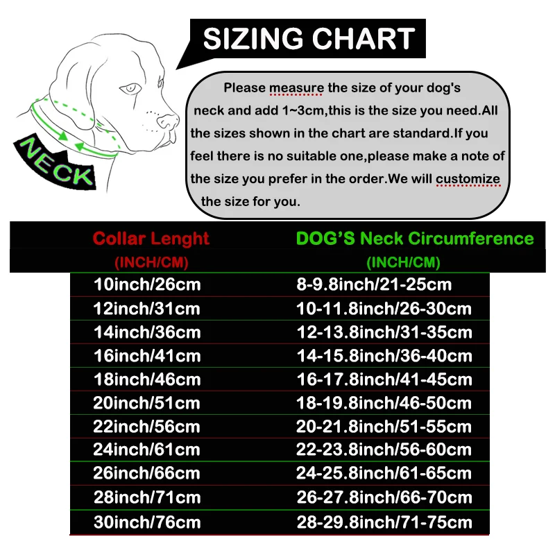 Collier pour chien doré en acier inoxydable 19mm robuste – Image 6