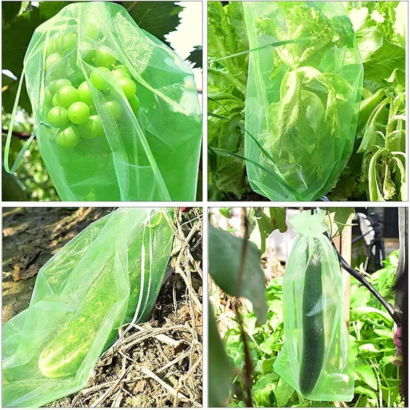 Sacs de Protection des fruits, 200/10x, sac en filet pour culture de plantes avec cordon de serrage, sac en maille Anti-oiseaux, pochette en gaze, couverture pour légumes – Image 5