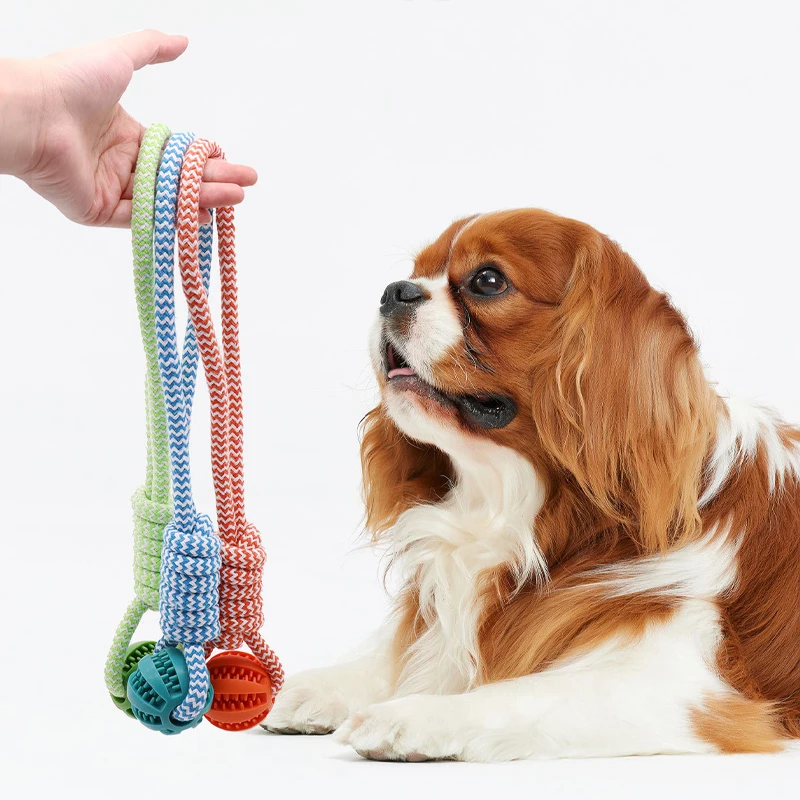 Boule de nettoyage des dents d'animaux de compagnie, jouet avec corde, balles de fuite en caoutchouc, jouet pour petits et grands chiens, jouets résistants aux morsures à mâcher pour chiots – Image 2