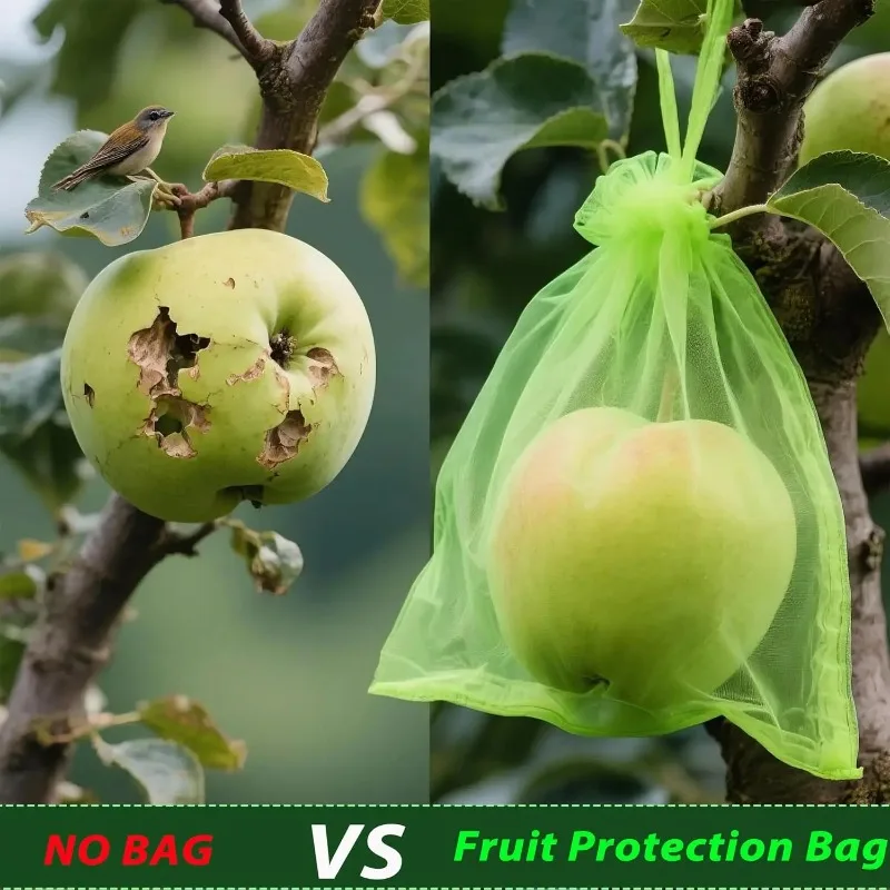 Sacs de Protection des fruits, 200/10x, sac en filet pour culture de plantes avec cordon de serrage, sac en maille Anti-oiseaux, pochette en gaze, couverture pour légumes – Image 2