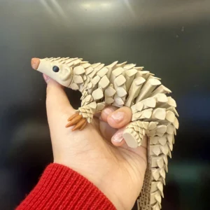 Pangolin 3D Réaliste – Figurine Décorative Imprimée en 3D