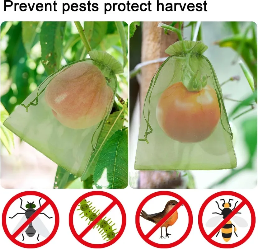 Sacs de Protection des fruits, 200/10x, sac en filet pour culture de plantes avec cordon de serrage, sac en maille Anti-oiseaux, pochette en gaze, couverture pour légumes – Image 3