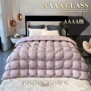 Couette 5 Étoiles Duvet Oie - Luxe Hôtelier
