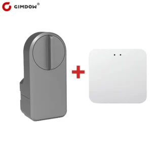 Serrure intelligente Bluetooth Tuya – Sécurisez votre maison
