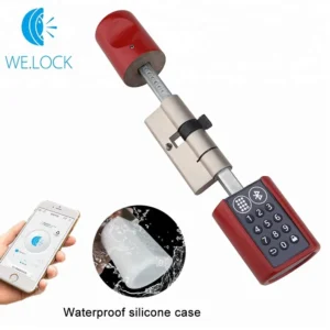 Serrure intelligente L6PB : Bluetooth, code, sans clé