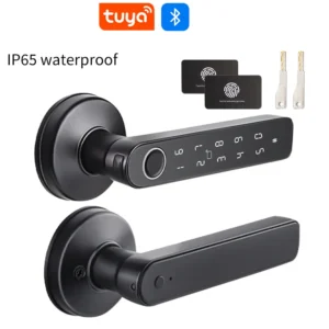 Serrure intelligente Bluetooth Tuya - Empreinte + Clé